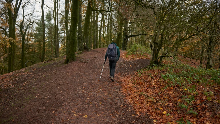 Man taking autumn walk at Clent Hills